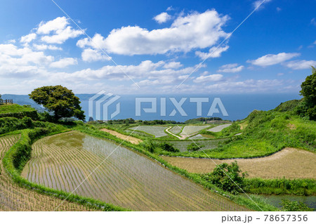 日本の棚田百選東後畑の棚田　山口県長門市　 78657356