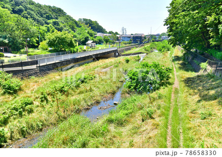 相曽浦橋／野川より下流方向を望む(東京都三鷹市)【2021.6】 78658330