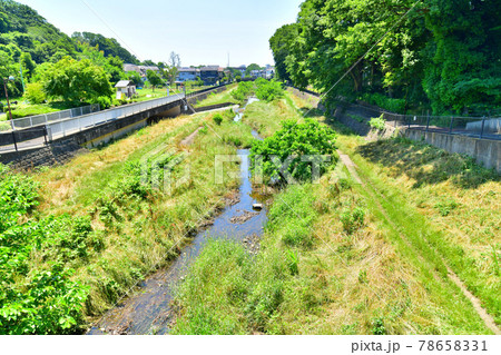 相曽浦橋／野川より下流方向を望む(東京都三鷹市)【2021.6】 78658331
