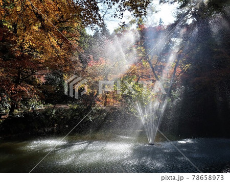 加茂山公園 秋 紅葉 加茂山公園 秋 紅葉 78658973