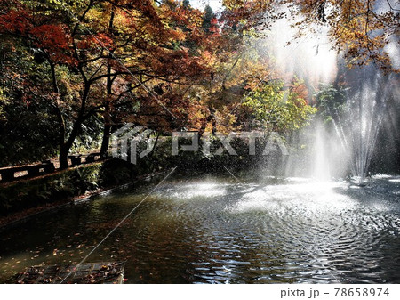 加茂山公園 秋 紅葉 加茂山公園 秋 紅葉 78658974