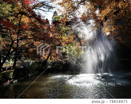 加茂山公園 秋 紅葉 加茂山公園 秋 紅葉 78658975