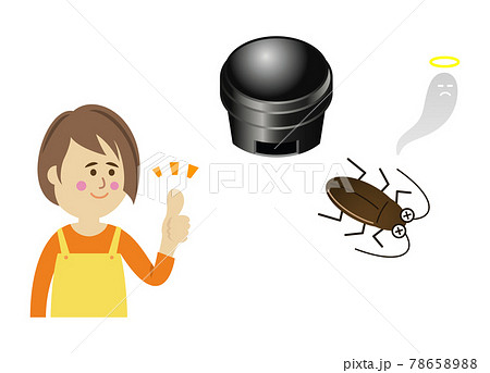 ゴキブリ用の殺虫剤を使う主婦のイラストイメージ 78658988