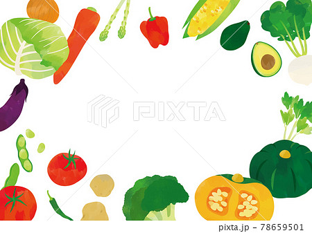 野菜 水彩タッチイラスト フレームのイラスト素材