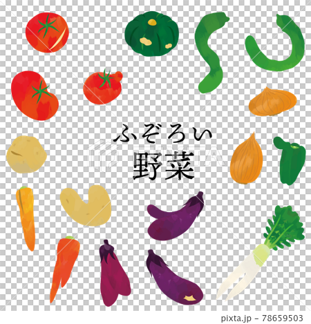 ふぞろい野菜　水彩タッチイラスト　セット 78659503