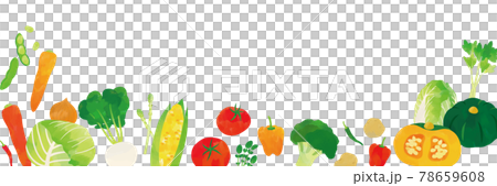 野菜 水彩タッチイラスト ポスター 野菜 水彩タッチイラスト ポスター 78659608