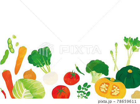 野菜 水彩タッチイラスト ポスターのイラスト素材