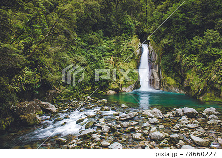 Giant Gate Falls｜ミルフォードトラック｜ニュージーランド旅行 78660227