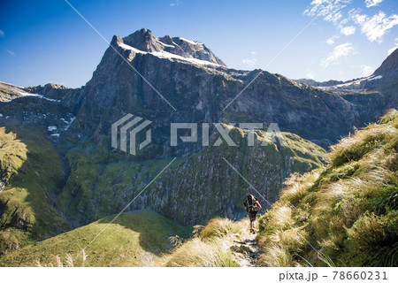 世界一美しい散歩道「ミルフォードトラック」マッキノンパスからの眺め|ニュージーランドハイキング 世界一美しい散歩道「ミルフォードトラック」マッキノンパスからの眺め|ニュージーランドハイキング 78660231