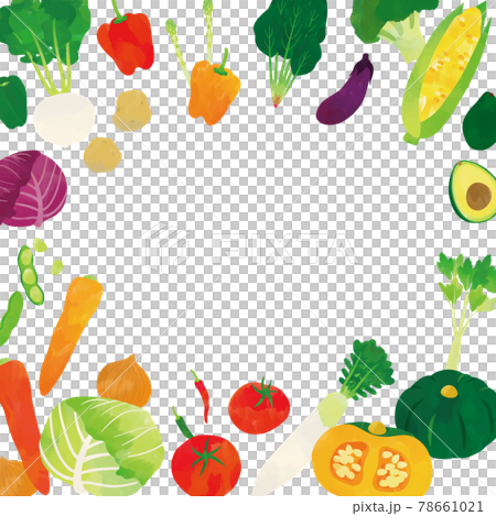 Vegetable watercolor touch illustration frame 78661021