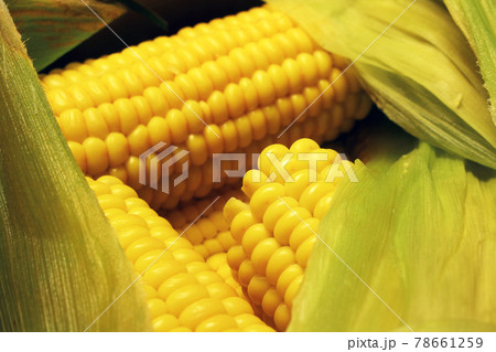 Bright yellow cooked corn with salt and leaves Bright yellow cooked corn with salt and leaves 78661259