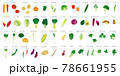 野菜　水彩タッチイラストセット 78661955