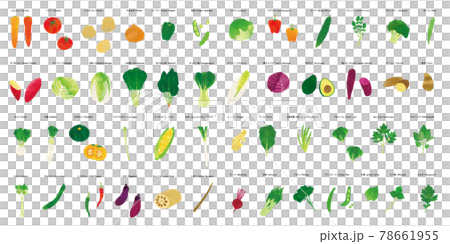 Vegetable watercolor touch illustration set 78661955
