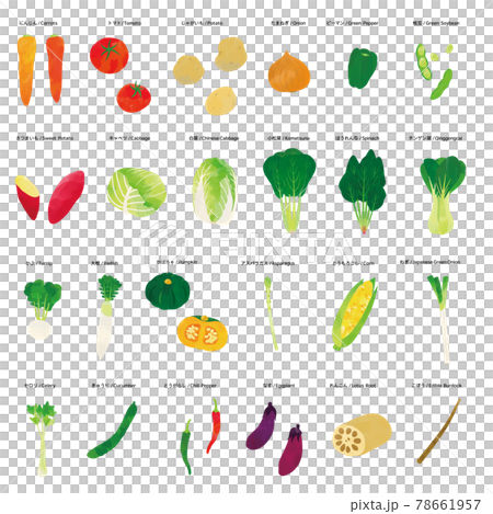 Vegetable watercolor touch illustration set 78661957