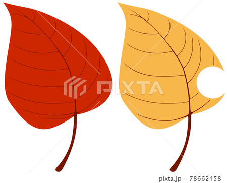 落ち葉のイラストのイラスト素材