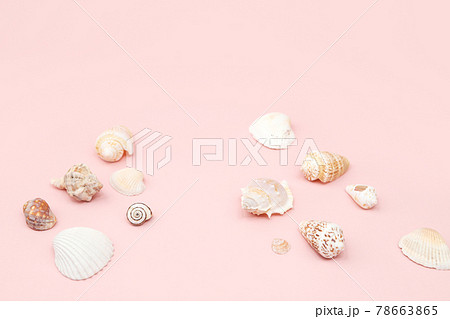 Cosmetics product advertising backdrop. Many different sea shells on pink background. Empty place to display product packaging. Showcase mockup. Cosmetics product advertising backdrop. Many different sea shells on pink background. Empty place to display product packaging. Showcase mockup. 78663865