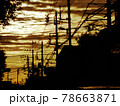 朝焼けに沈む電柱群5やや引き横 78663871