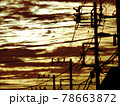 朝焼けに沈む電柱群4寄り横 78663872