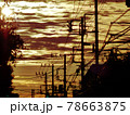 朝焼けに沈む電柱群2やや寄り横 78663875
