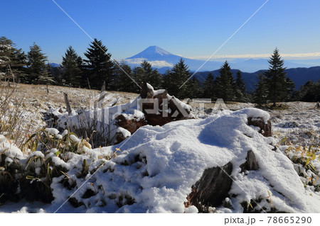 静岡と山梨の県堺 山伏峠 降雪の峠から富士山を望む 静岡と山梨の県堺 山伏峠 降雪の峠から富士山を望む 78665290