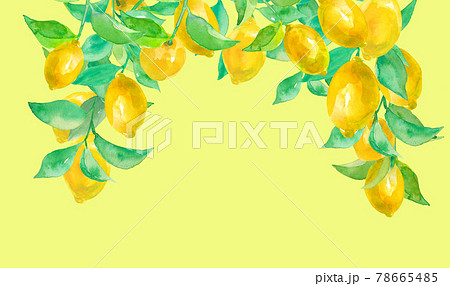 レモンの水彩イラスト アーチ型フレーム 縦型 のイラスト素材