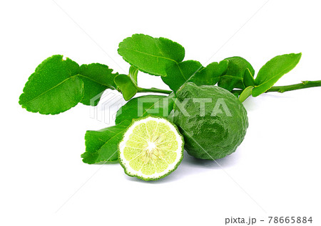 Kaffir lime or Bergamot, fruit and leaves isolated on white background. 78665884