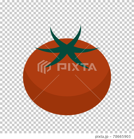 Simple tomato illustration 78665903