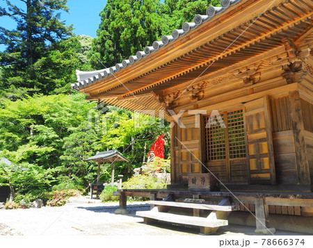 静岡県　あじさいとパラソルアート　法多山　6月 78666374