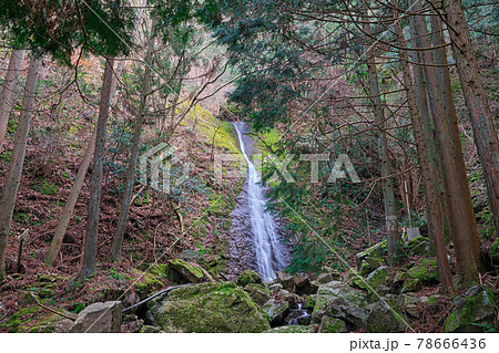 《兵庫県》笠形山千ヶ峰県立自然公園の風景 78666436