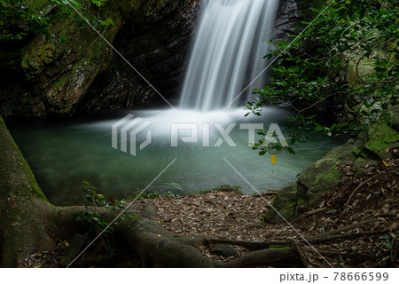 くらがり渓谷　不動の滝 78666599