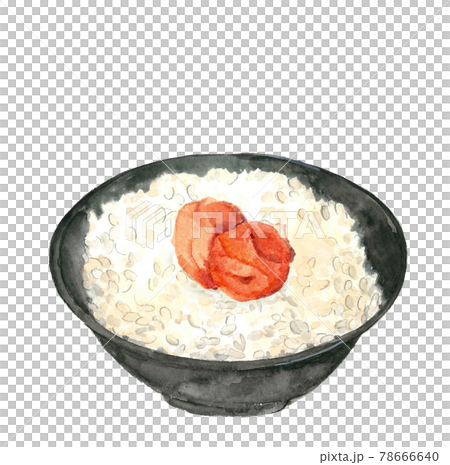 梅干和白米飯 剛煮熟的米飯 [水彩] 插圖素材 白色背景 PNG 可用複制空間 78666640