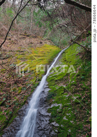 《兵庫県》笠形山千ヶ峰県立自然公園の風景 78666644