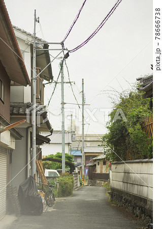 田舎の路地 78666738