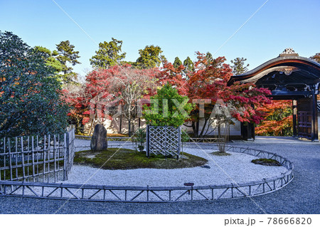 小倉山　二尊院境内の紅葉　龍神遊行の庭 78666820