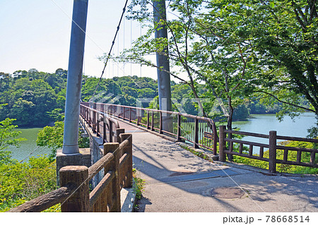 山口県山陽小野田市の江汐公園江汐湖にかかるつり橋 山口県山陽小野田市の江汐公園江汐湖にかかるつり橋 78668514