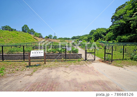 山口県山陽小野田市の江汐公園薬用植物園 78668526