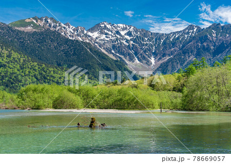 6月上旬の上高地 大正池の写真素材 [78669057] - PIXTA