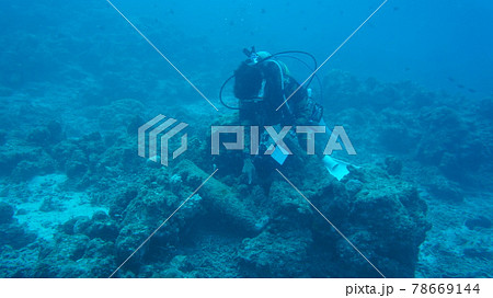 沖縄の海で戦争遺構を案内するダイビングガイド 78669144