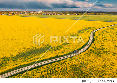 Aerial View Of Car SUV Parked Near Countryside Road In Spring Field Rural Landscape. Flowering Blooming Rapeseed, Oilseed In Field Meadow In Spring Season. Blossom Of Canola Yellow Flowers 78669493