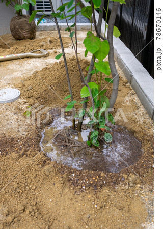 植栽工事 植栽工事 78670146