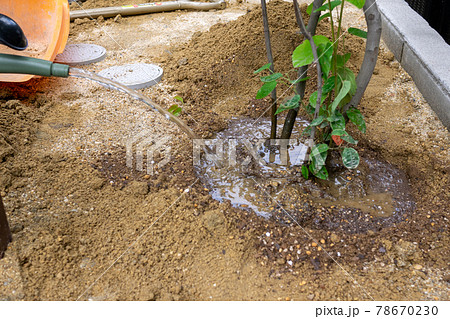 植栽工事 78670230