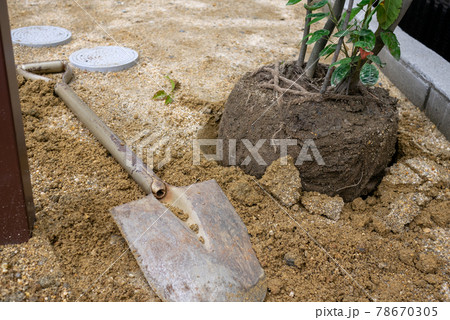 植栽工事 植栽工事 78670305