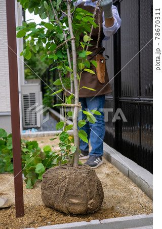 植栽工事 78670311