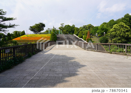 相模原麻溝公園 であい橋 78670341