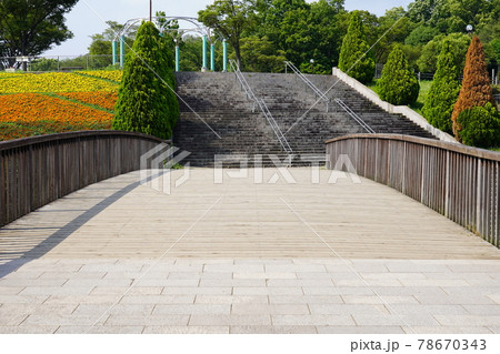 相模原麻溝公園 であい橋 相模原麻溝公園 であい橋 78670343