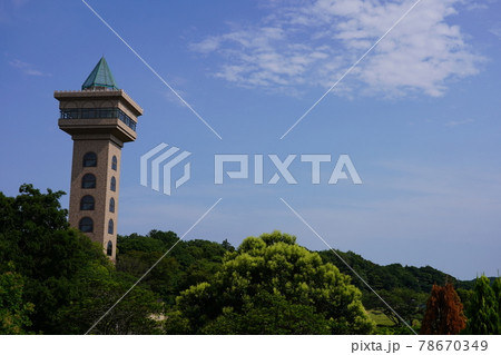 相模原麻溝公園 相模原麻溝公園 78670349