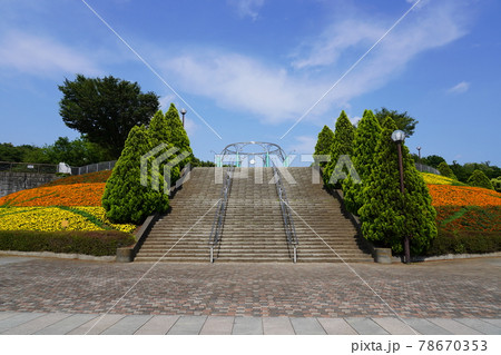 相模原麻溝公園 相模原麻溝公園 78670353