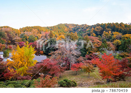 正暦寺の紅葉 正暦寺の紅葉 78670459