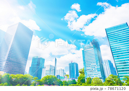 東京のオフィスビル群 東京のオフィスビル群 78671120