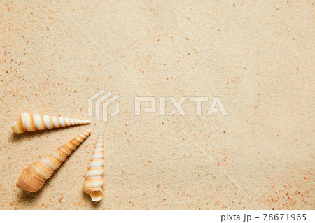 Summer background of sand and exotic sea shells with copy space 78671965